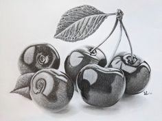 a pencil drawing of three cherries and one leaf