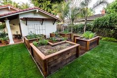 an outdoor garden area with raised beds and plants in the center, surrounded by lush green grass