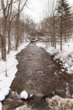 a stream running through a forest covered in snow