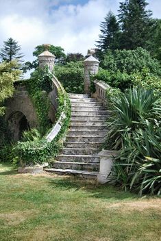 an old set of stairs with vines growing on it