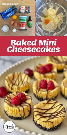 baked mini cheesecakes with chocolate drizzle and raspberries