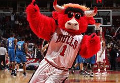 the chicago bulls mascot is in action on the court