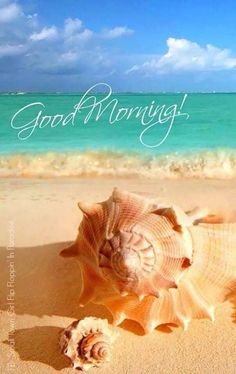 a seashell on the beach with words good morning