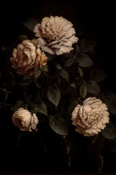 a bunch of flowers that are sitting on a table in front of a black background