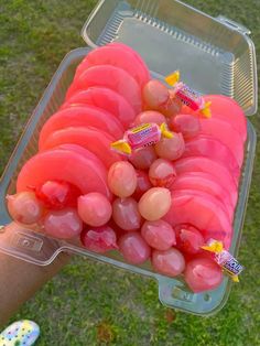 strawberry flavored candies and pineapples in a plastic container on the grass