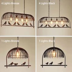 four different types of birds in a birdcage hanging from the ceiling with light bulbs