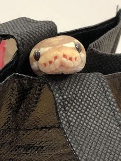 a close up of a snake's head on top of a black cloth bag