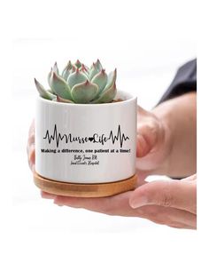 a person holding a white mug with a succulent plant in it's center