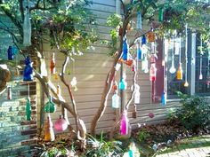 Glass Bottles Hanging From Trees, Bottles In Trees Hanging, Bottles Hanging From Trees, Glass Bottle Tree, Bottle Trees, Bottle Tree, Humble Abode, Pretty House