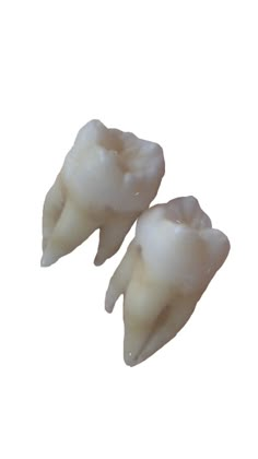 two white teeth are shown against a white background