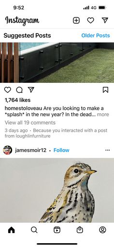 an instagram page with two birds on the same page and one bird sitting on top of another