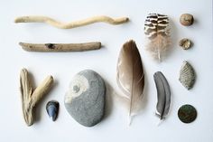 several different types of rocks and feathers on a white surface