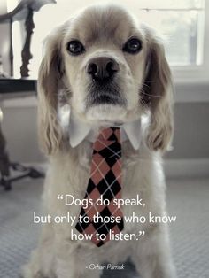 a dog wearing a tie with a quote about dogs do speak, but only to those who know how to listen