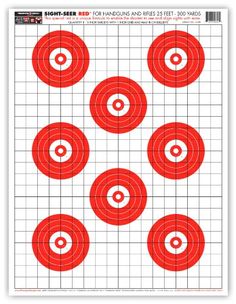 the shooting target is shown in red and white, as well as four circles that have been