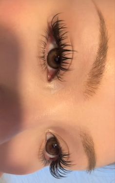 Lashing Techniques, Manhua Lashes, Eye Lashes Extensions, Eye Lash Extensions