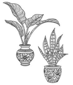 two vases with plants in them are drawn by hand on a white background illustration