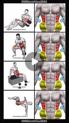 the muscles and their functions are shown in this diagram, which shows how they work