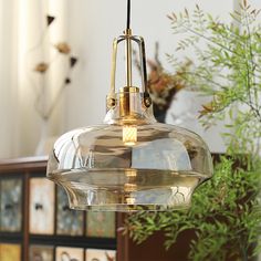 a clear glass light hanging from a ceiling in a room with plants and pictures on the wall