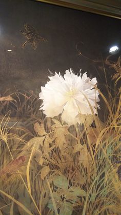 a large white flower sitting in the middle of tall grass