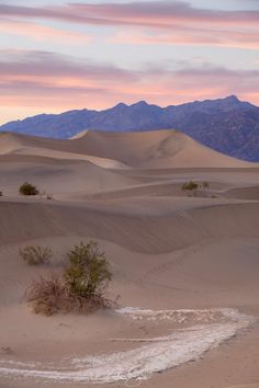 the desert is filled with sand dunes and mountains