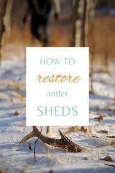 a white sign that says how to restore antler shed's in the snow