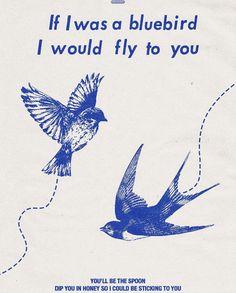 a blue bird flying next to a white paper with the words if i was a bluebird, i would fly to you