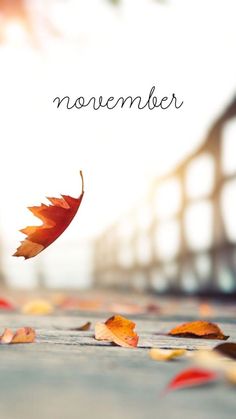 a leaf is laying on the ground with words above it that say november in front of a bridge