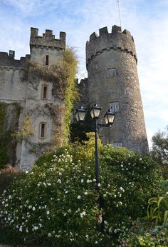 an old stone castle with flowers growing on the ground and in front of it is a lamp post