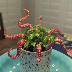 an octopus plant in a pot on a blue plate with polka dot print and dots