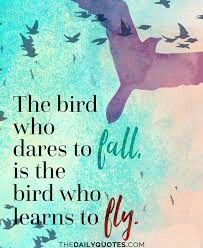 the bird who dares to fall is the bird who learns to fly poster print