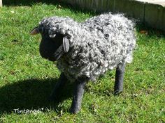 a black and white sheep standing in the grass