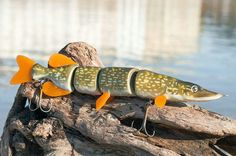 a fish that is sitting on top of a piece of wood