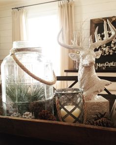 a wooden tray topped with glass jars filled with plants and deer head statues next to a window