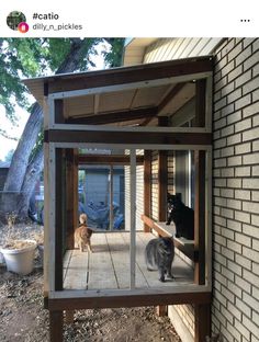 two cats in a cage on the outside of a house