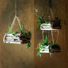 two hanging planters filled with plants on chains and wood logs, each containing different types of foliage