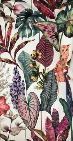 an image of colorful leaves and plants on a white background with pinks, purples, and green