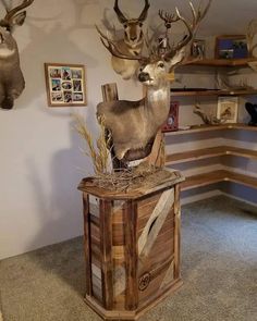 two deer heads mounted to the side of a wooden box in a room with other deer heads