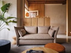 a living room filled with furniture and a plant in the corner next to a couch