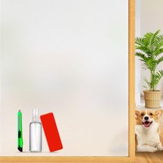 a dog sitting on the floor in front of a mirror next to a bottle and pen