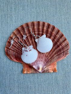 *Fragile* Matching pair of small white scallops on silver dangle earrings. These earrings are neutral and go with almost any outfit.  They are very comfortable and light. These shells are a perfect match, although, one of them has some fine maroon colored markings contributing to the natural appeal. Nickel-free White Summer Earrings, Nickel-free White Earrings For Summer, White Nickel-free Earrings For Summer, Summer White Nickel-free Earrings, Cute White Dangle Earrings, Cute White Drop Earrings, White Shell-shaped Earrings With Ear Wire, White Shell Earrings For Pierced Ears, Nickel-free White Shell-shaped Earrings