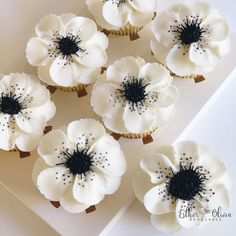 cupcakes with white frosting and black sprinkles are arranged on a plate