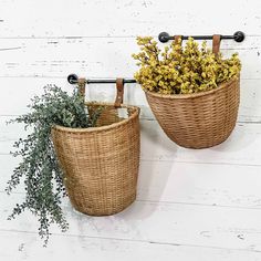 two baskets are hanging on the wall with plants in them and one is holding a plant