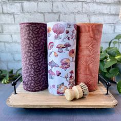 three different colored vases sitting on top of a wooden tray next to a plant