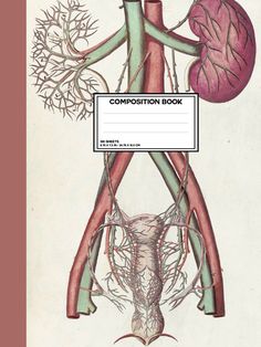 an image of a diagram of the human body