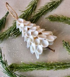 some white flowers and green leaves on a table