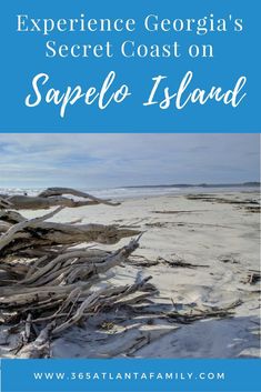 the white sand beach with text that reads experience georgia's secret coast on sapelo island