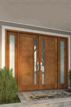 the front door is made of wood and has glass panels on each side, along with two plants