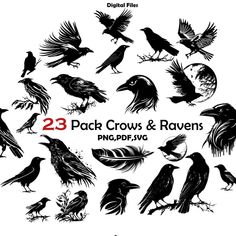 the 25 pack crows and raven silhouettes