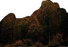 an image of a mountain with trees in the background