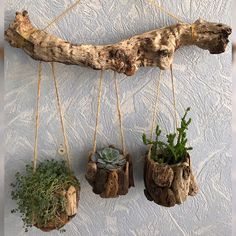 three hanging planters made out of driftwood with succulents and plants